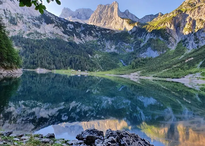 Waldglueck * 고사우