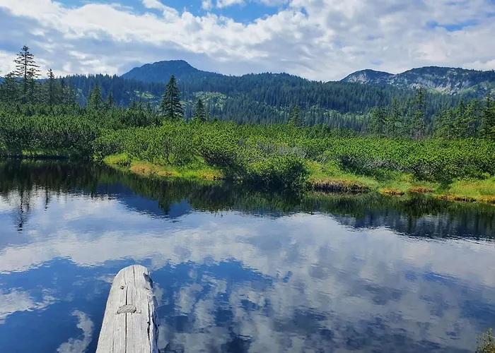 Feriehus Waldglueck *