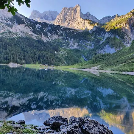 Waldglueck * Gosau